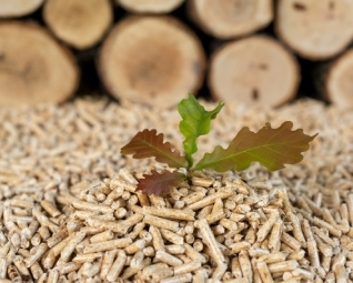 Pourquoi les pellets de qualité d'origine belge sont le meilleur choix pour votre chauffage ?